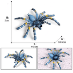 Fausse Mygale Bleue - Vignette | Farce & Attrape