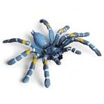 Fausse Mygale Bleue - Vignette | Farce & Attrape