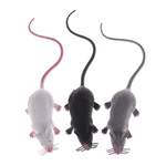 Faux rat - Vignette | Farce & Attrape