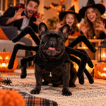 Déguisement Araignée pour Chien | Halloween - Vignette | Farce &amp; Attrape