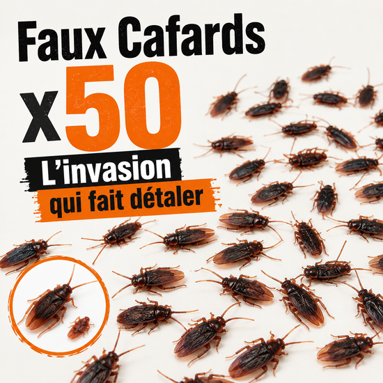 Lot de 50 faux cafards pour préparer une blague visuelle
