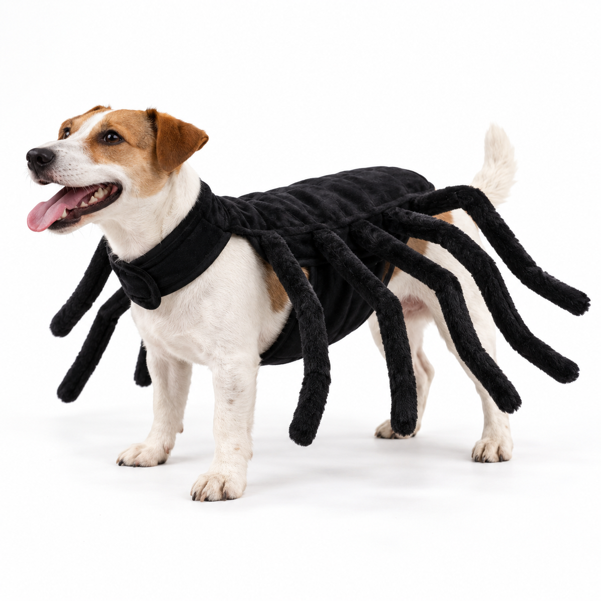 Costume araignée pour chien vue de profil