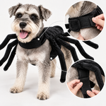 Déguisement Araignée pour Chien | Halloween - Vignette | Farce &amp; Attrape