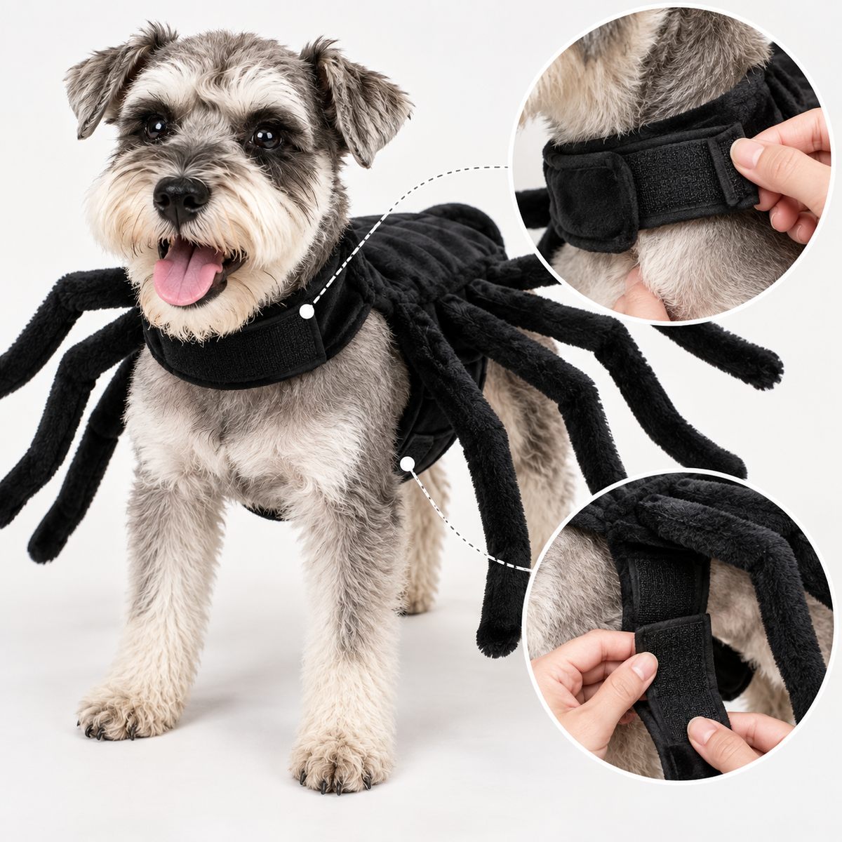 Déguisement chien araignée avec attaches