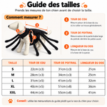 Déguisement Araignée pour Chien | Halloween - Vignette | Farce &amp; Attrape