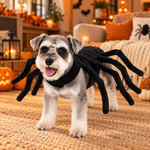 Déguisement Araignée pour Chien | Halloween - Vignette | Farce &amp; Attrape