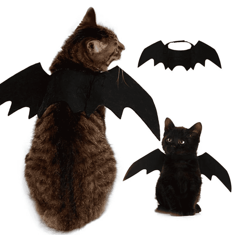 déguisement halloween pour chat